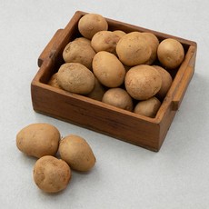 밀양 조림감자(햇) (40~80), 1kg, 1개