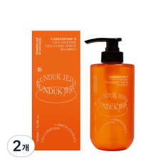 선덕제주 차바이오 랩 셀 클리닉 세럼 샴푸, 2개, 500ml