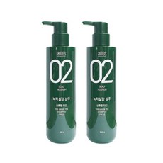아모스 녹차실감 샴푸 지성 산뜻한타입 500g 2개 빈머리 풍성한, 상세페이지 참조, 상세페이지 참조
