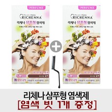 [2개+ 납작빗] 리체나 샴푸형 염색제, 1개, 부드러운갈색