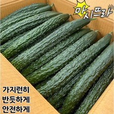 오이 가시오이 청오이 못난이오이 10kg 약40개입, 오이 상 10kg(약40개), 40개
