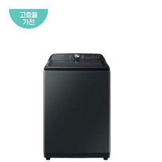 삼성전자 그랑데 21kg 일반 세탁기 WA21A8376KV, 단품
