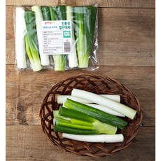 곰곰 친환경 절단대파, 300g, 1개