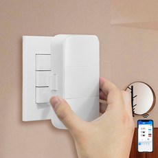 라맥스 IoT 스마트 전등 스위치, 2구, 화이트(white), RSA-302(IR리모컨형), 1개