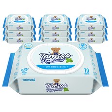 탐사 페퍼민트 물티슈 캡형, 70매, 10팩