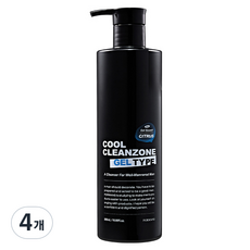 포르맨즈 쿨클린존 젤타입 남성청결제, 500ml, 4개