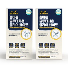 인지질코팅 글루타치온 영양제 정 알약형 장용성 화이트글루타치온 환원형 초저분자콜라겐 먹는 히알루론산 비타민C 이너뷰티 글루타치온효과 식약청 식약처 해썹인증, 60정, 2개