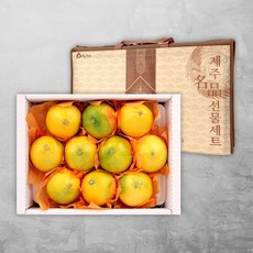[오초록] 제주 프리미엄 황금향 3kg(12~17과내) 선물세트 + 부직포가방