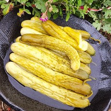올바른새움푸드 농가수제 저염오이지, 3kg, 1개