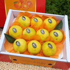 [제주산지직송] 황금향 2kg(10~12수 중과 선물용) 실속형 선물세트 엣지있게 상큼한 만감류의 여왕! 박스무게포함
