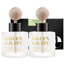 라홈 차량용 디퓨저 50ml, 청포도, 2개