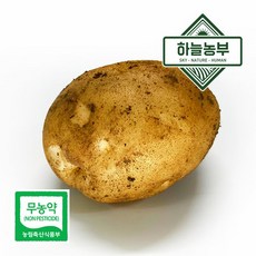 하늘농부 친환경 햇 감자 5kg 10kg, 1개