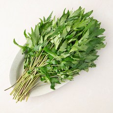 당귀잎, 100g, 1개