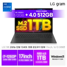 LG그램 14인치 17인치 14ZB90Q 17Z90Q 인텔 i7 12세대 16GB 512GB 초경량 999g WIN11 블랙 인강용 사무용, 그레이(17인치), 17Z90Q-K.AAC7U1, 코어i7, WIN11 Home