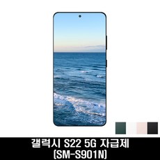 삼성전자 갤럭시 S22 자급제 SM-S901N, 화이트, 256GB