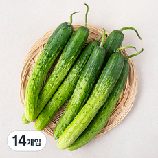 못생겨도 맛있는 백오이, 14개입