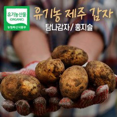 산지직송 국내산 제주 친환경 햇감자 유기농 흙감자 무농약 감자 탐나감자 홍지슬 채소 3kg 5kg 10kg, 1. 탐나감자 3kg, 1개